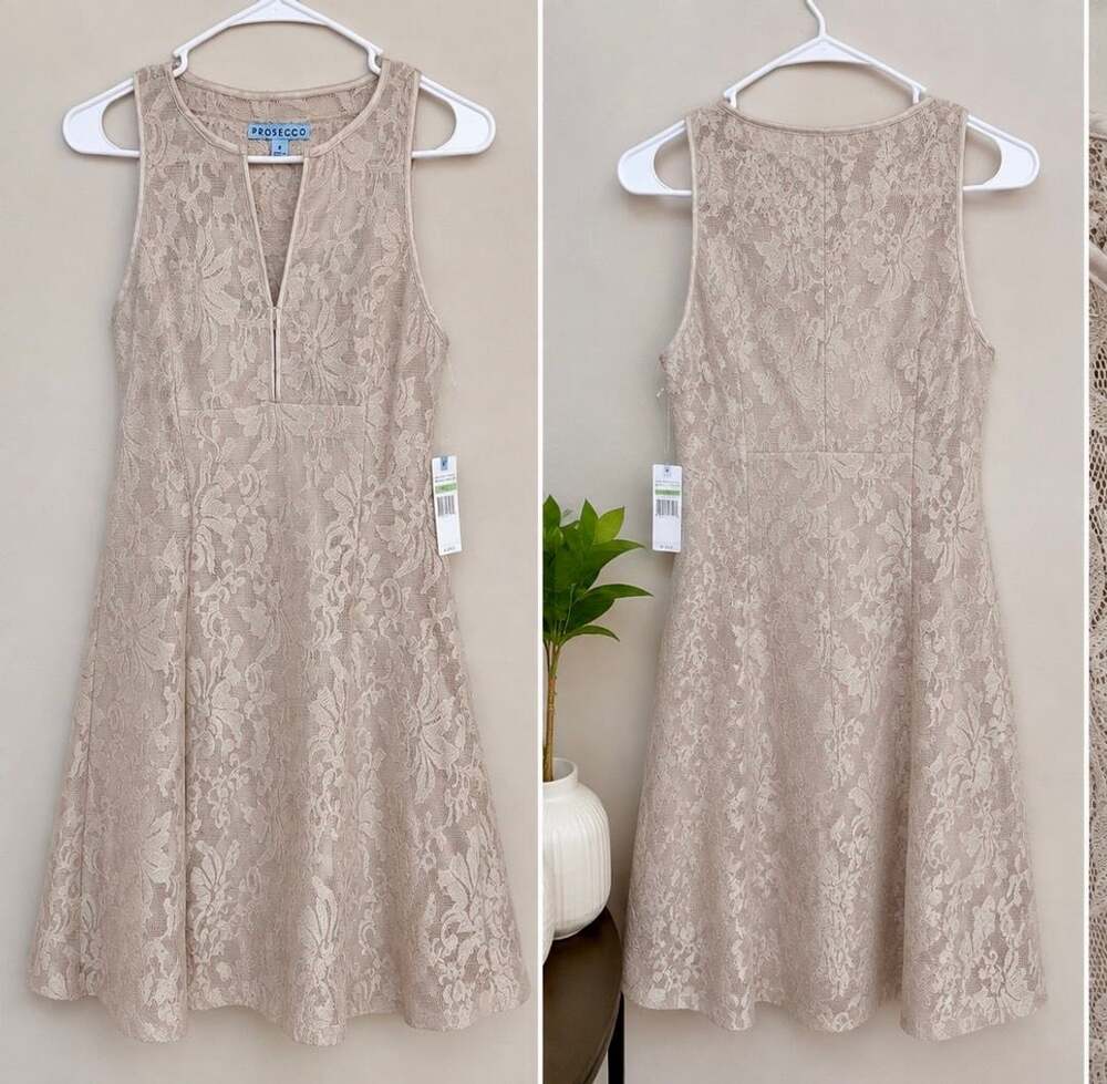 Prosecco NEW NWT French Champagne Lace Overlay A-Line Size 8 wedding guest Dress